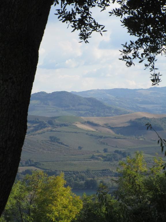 Tenuta Olmatello Quartolo Exterior photo